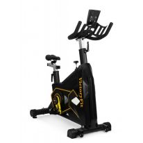 - VictoryFit VF-GymRider 225